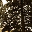 참사랑경희한의원 이미지