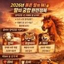 말띠와 잘맞는띠 궁합 완전정복 이미지