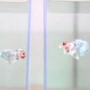 둘이농장 이미지