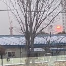 스위치조대점