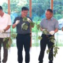 무릉도원면-25 이미지