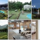 땅끝 남도의 향기 이미지