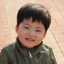 진가연 Daum카페