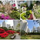 장안로309번길 이미지