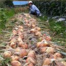 해품은농장 이미지