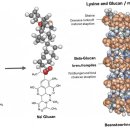 든든우리약국 이미지