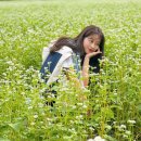 오곡면 오지1구 마을회관 | 청주 메밀꽃 추정리 메밀밭 현재 상황 (+주차,가는길,입장료)