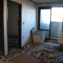 대야1로 이미지