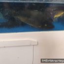 천상루 네이버블로그