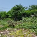 삼화정비 이미지