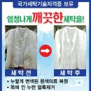 명품날개 이미지