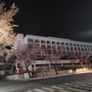 하와이 노래연습장 이미지