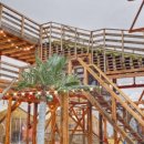 양지파인글램핑 이미지