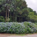 건영목장 이미지