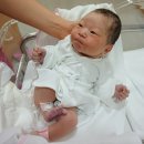 코끼리마트 | 40주 3일. 5월 24일 뽀송이 태어나다.