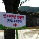 상비민박 네이버블로그