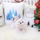 아콩하우스 이미지