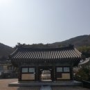 안평역 | 부산 기장 가볼만한 곳 '안적사' 목련과 진달래가 아름다운 봄 사찰