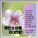 한국장례문화원 - 진주시 진주대로1208번길 16 | 한국장례문화원