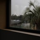 제주제이스타 이미지