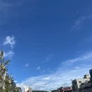 댕기아리아