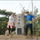 2016.09.15 청계산(청계산 맑은숲공원~국사봉~이수봉) 이미지
