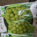 대원관광농원 이미지