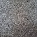 이리새집 이미지