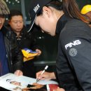 낸시투어(주) 이미지