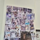 미용할개 | 전주고양이미용 잘하는 곳 송천동 함께냥 재방문 후기