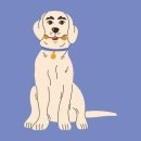 팻 밸런스 (Pet Balance) | 강아지 덴탈껌 TOP 5 비교 리뷰