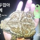 독금농장 이미지