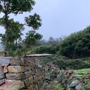 흑산 사촌서당 이미지