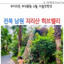 허브밸리(암석원) | 남원 지리산 허브밸리 라벤더 키즈존 식물원