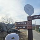 네발친구 | [춘천] 등산 초보의 금병산 네발로 기어올라간 후기.. 초보자 등산코스라는 말은 유언비어입니다,, 각오...