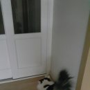 두리동물클리닉 이미지