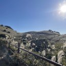 영상으로 떠나는 힐링여행 | 둘이서 떠나는 첫 제주도 여행 feat. 제주 웨딩스냅