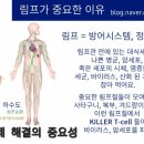거꾸로가는시간 서산점 네이버블로그