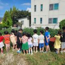 안중유치원 이미지