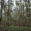 유일농장 이미지