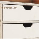 나무꼴 이미지