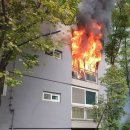 분당분당-A-21 이미지