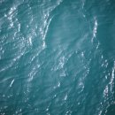 도장포낚시터 이미지