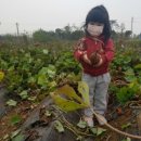 윤가네 농장 이미지