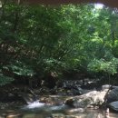 횡성토종한우정육점 이미지