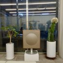 안스 스타일 송우점 이미지