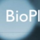 에스엔디바이오 이미지