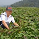 학생농장 이미지