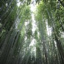 무안제일주유소(주식회사 영화산업) | 남도 2월추천관광지 목포, 담양, 순천으로 남도문화기행(여행) 떠나요!