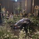 이상진 | 🕊️🤍 대구 본식 스냅_ 연스튜디오 촬영+앨범수령 강추 후기(feat . 이상진 작가님)